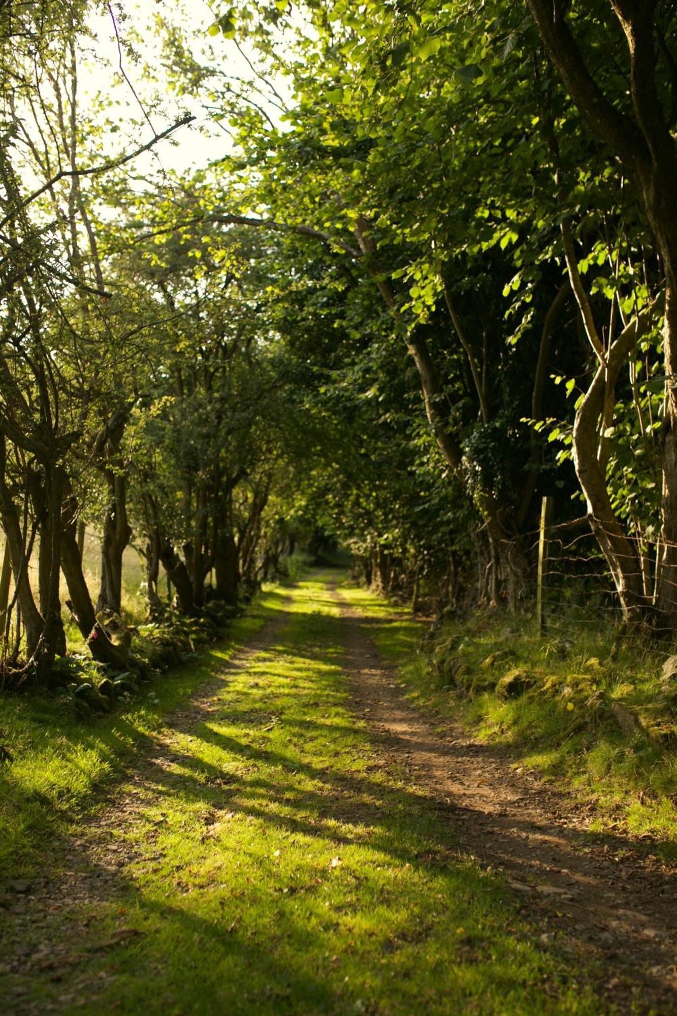 Two Unique Cabins Wrapped In Beautiful Welsh Scenery Presteigne Esterno foto