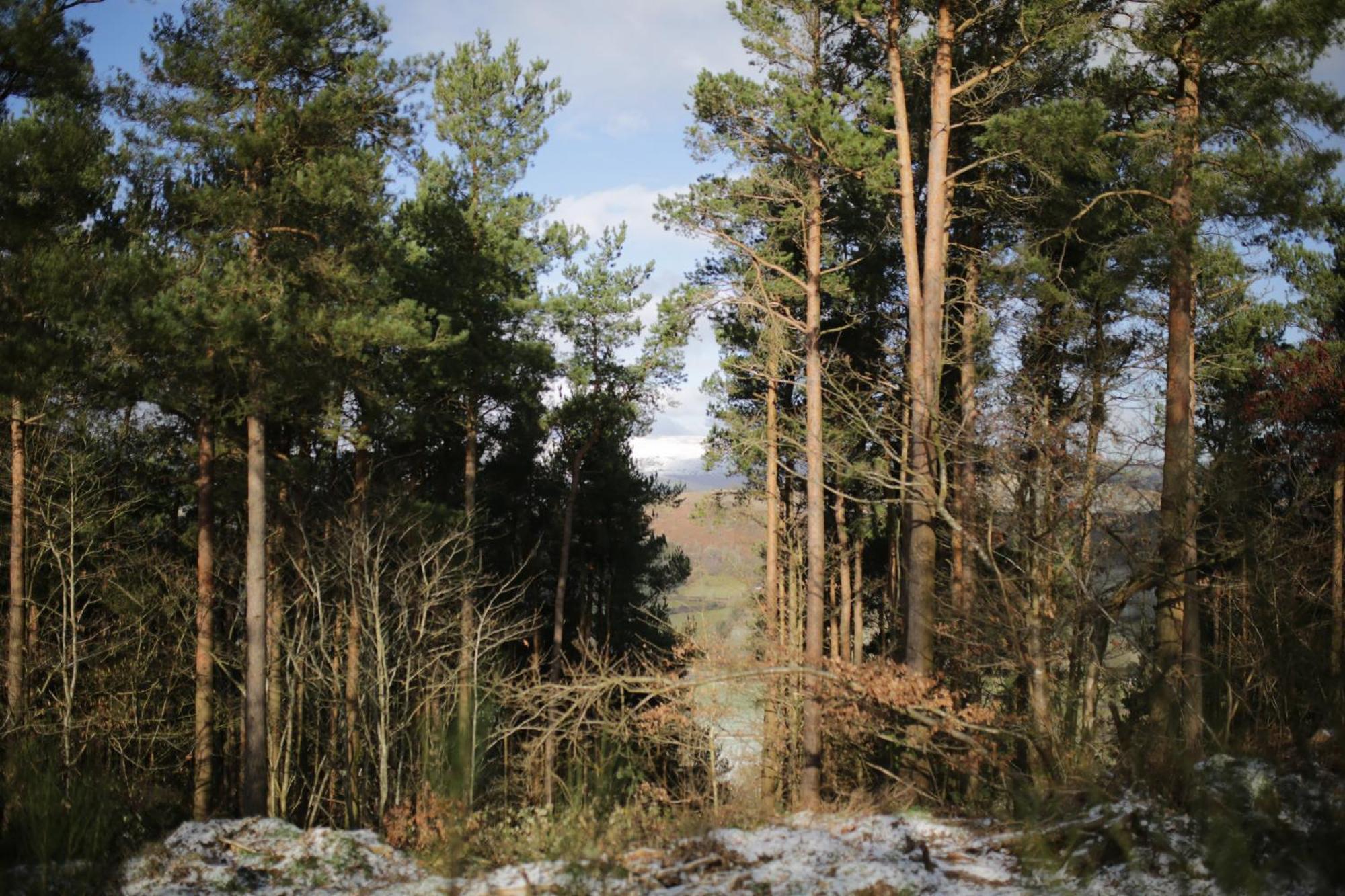 Two Unique Cabins Wrapped In Beautiful Welsh Scenery Presteigne Esterno foto